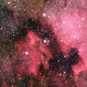 亚洲无码Av强小穴
